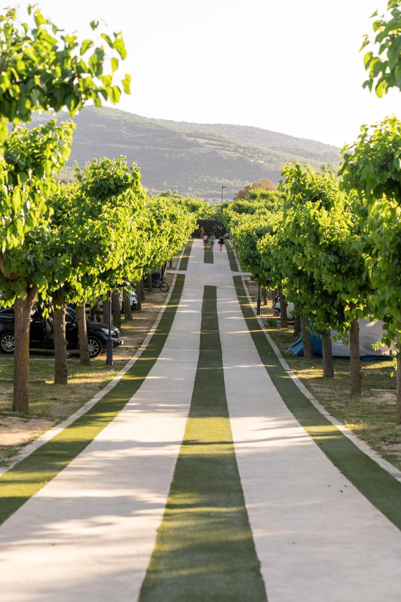 Vall D'Ager Resort & Camping Bagian luar foto